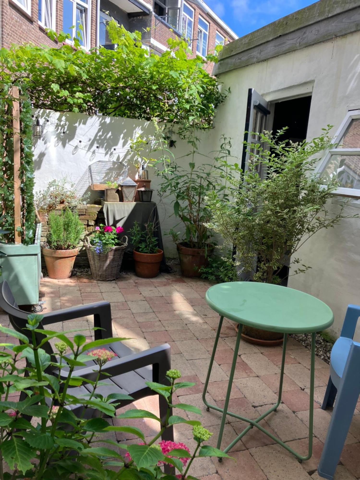 Antonia Beach House デン・ハーグ エクステリア 写真